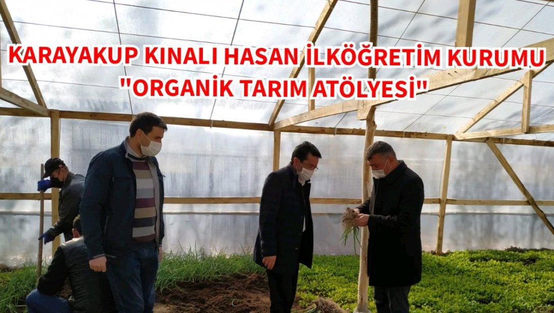 Milli Eğitim Bakanlığı'nın 2023 Vizyonu kapsamında Karayakup Kınalı Hasan İlköğretim Kurumu'na kazandırılan organik Tarım Atölyesi ilk ürünlerini vermeye başladı. 
