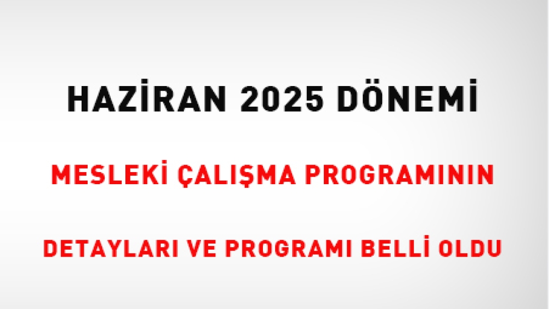 Mesleki Çalışmaların Yapılacağı Okullar